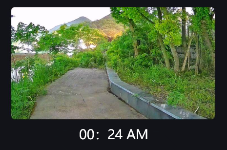 Видеть в темноте: простое руководство по камерам ночного видения с черным светом